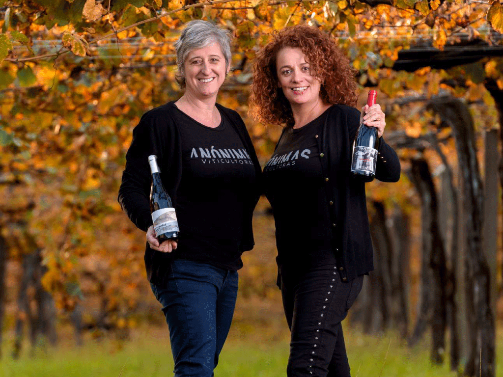 Contacto-Anonimas_Wines-v1